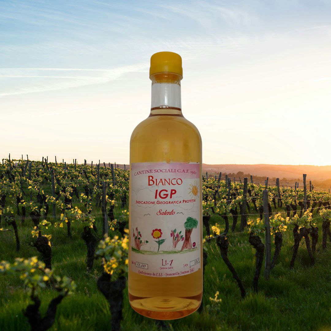 Vino bianco sfuso