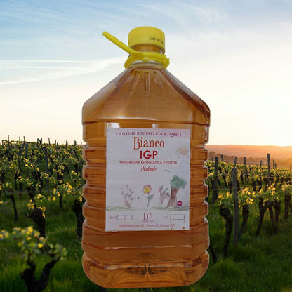 Vino bianco sfuso