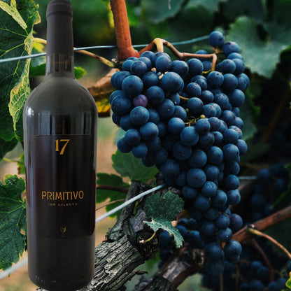 PRIMITIVO 17
